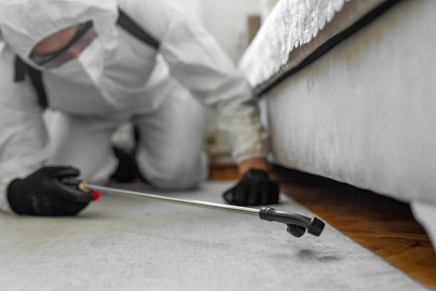 Professional Bed Bug Control technician working in Moonachie, NJ