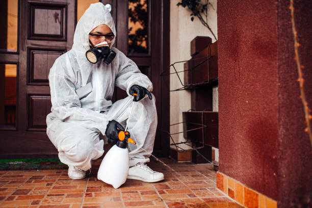 Reliable Bed Bug Control contractor in Moonachie, NJ by Nex Pest Control