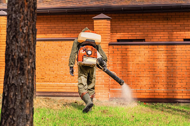 Trusted Cockroach Control service in Moonachie, NJ - Nex Pest Control